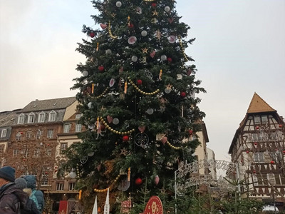 Ausflug auf den Straßburger Weihnachtsmarkt